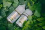 SALT LANGUAGE 鹽語煙油 高品質丁鹽小煙專用電子煙油 多元口味與順滑體驗