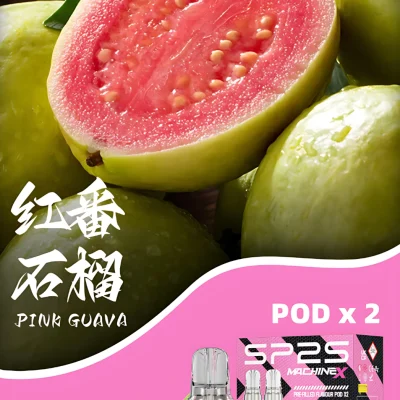 sp2s-76.webp
